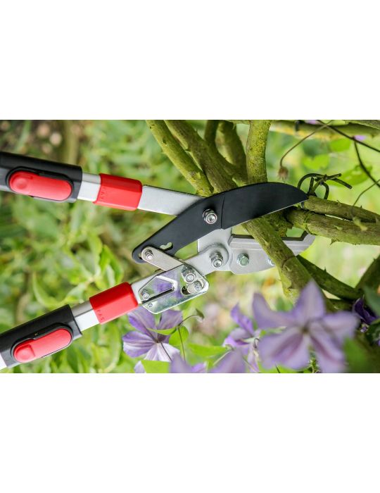 Darlac telescopic online ratchet lopper