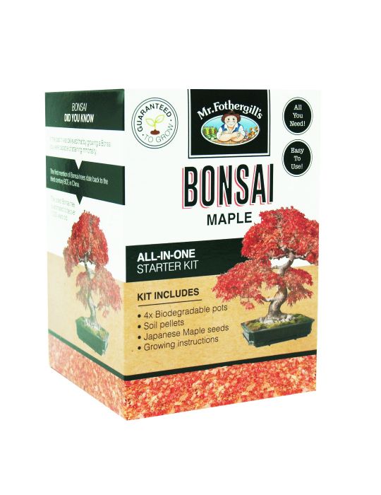 Bonsai NZ Starter Kits  Tree Gifts NZ - Gifts that Count