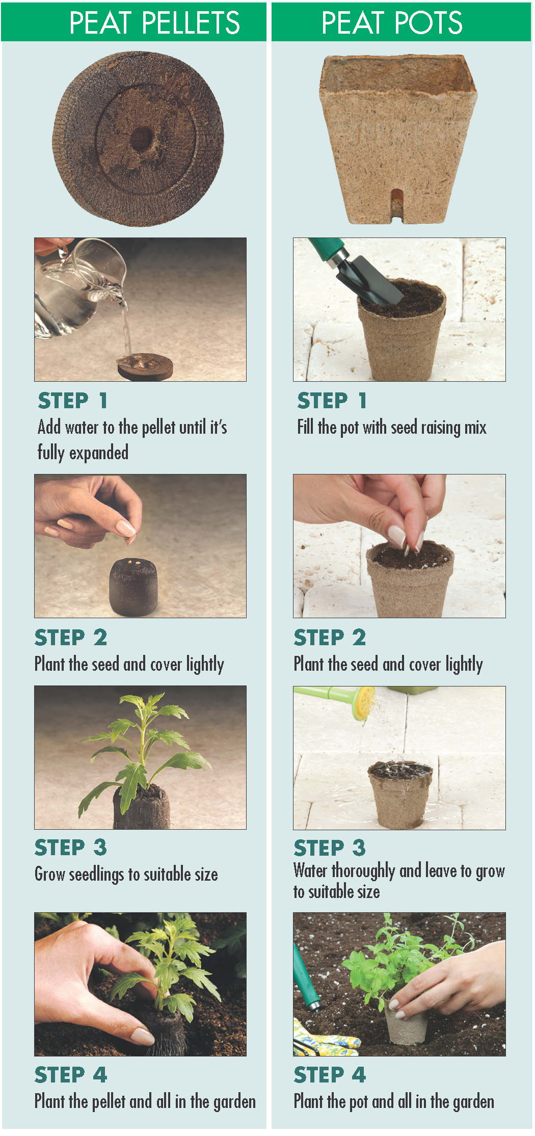 Germinating Seeds With Jiffy Pellets At Ida Hinton Blog