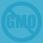 No GMO